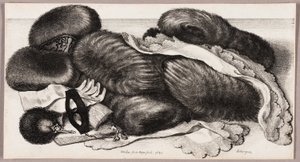 マフのグループ、手袋のペア、および 2 つのハンカチのある静物 作： Wenceslaus Hollar