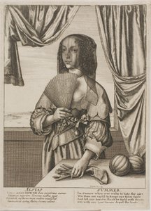 夏 作： Wenceslaus Hollar