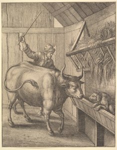 飼い葉桶にいる犬のイラストからジョン・オギルビーズの「sopics：Or A Second Collection ...」、1666年。 作： Wenceslaus Hollar