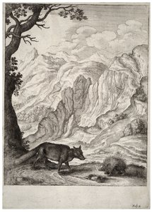 キツネとヤマアラシの話状態2 作： Wenceslaus Hollar
