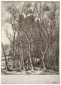キツネとイバラの茂み状態2 作： Wenceslaus Hollar