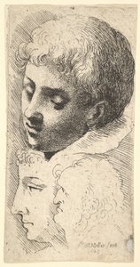 3頭、1645。 作： Wenceslaus Hollar