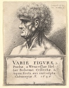 様々な図のタイトルページも正しく、1645。 作： Wenceslaus Hollar