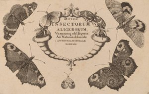タイトルページ。 作： Wenceslaus Hollar