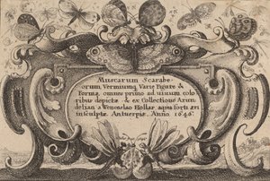 タイトルページ、1646年。 作： Wenceslaus Hollar