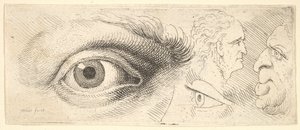 2つの目と2つの頭、1644-52。 作： Wenceslaus Hollar
