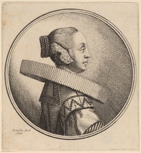 横顔にラフのある女性 作： Wenceslaus Hollar