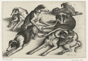6 横たわっている狩猟犬 狩猟と猟犬とゲーム（連載タイトル） 作： Wenceslaus Hollar
