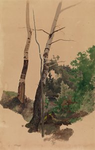 2本の裸の白樺の幹と茂み 作： Werner Holmberg