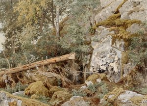 森の中の苔むした岩 作： Werner Holmberg