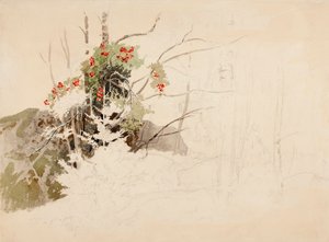  作： Werner Holmberg