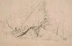  作： Werner Holmberg