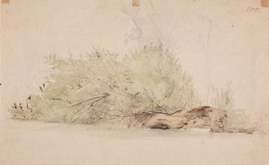 無題 作： Werner Holmberg