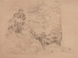 無題 作： Werner Holmberg