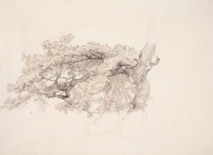  作： ヴェルナー・ホルムバーグ