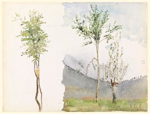 風景スケッチ 作： Whitney Warren Jr.