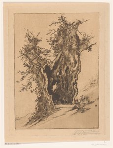 スイスのゼーリスベルクにある中空の木 中空の木（原題） 作： Wijnand Otto Jan Nieuwenkamp (signed by artist)