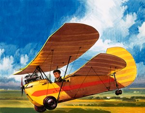 アンリ・ミニェの発明「プー・ド・シエル 作： ウィルフ (20 世紀) ハーディ