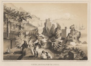 フンシャル、マデイラ、カラル、1885年 作： Wilhelm Joseph Heine