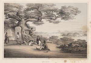 ルーチュー、1855