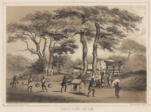 Tshan-Di-Coo-Sah、Lew Chew、1855年（リトグラフ） 作： Wilhelm Joseph Heine