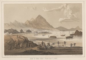 イーストポイントからの香港の眺め、1855 作： Wilhelm Joseph Heine