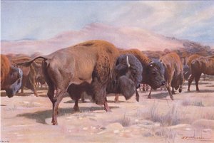 次のアーティストによるアート作品 Wilhelm Kuhnert