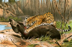 ジャガー殺害バク 作： Wilhelm Kuhnert