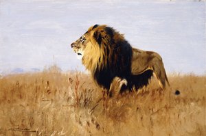 獲物を探すライオン 作： Wilhelm Kuhnert