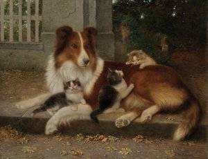 ベストオブフレンズ
