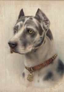 ドーベルマンの頭（帆布に油彩） 作： Wilhelm Schwar