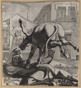 偉そうなことを自慢する愚か者 作： Wilhelm Stettler