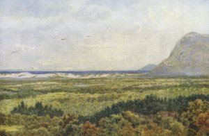 コンスタンシア渓谷とフォルス湾、ケープポイント（カラーリトグラフ） 作： Wilhelm Westhofen