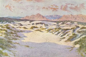 ムイツェンバーグ近郊の砂丘にて（カラーリトグラフ） 作： Wilhelm Westhofen