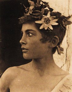 パッションフラワーを髪に挿したシチリアの少年の習作、シチリア、1899年頃（写真 作： Baron Wilhelm von Gloeden