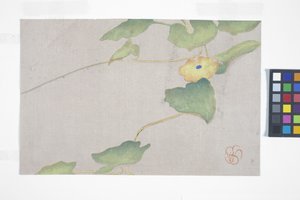 Flower Study, n. 1908 (värillinen puupainatus) 作： Wilhelmina Seegmiller