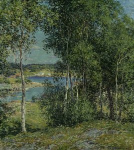 A Family of Birches, 1907年。 作： Willard Leroy Metcalf