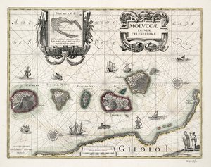 インドネシア・モルッカ諸島海図 作： Willem Blaeu