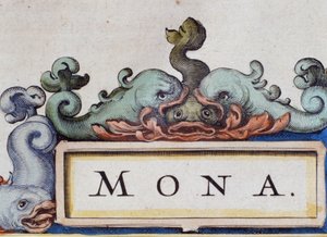 イルカ、ロカイユ風のフロントピース。Atlas di W. Blaeuの詳細。Blaeu, Amsterdam 1650の詳細。 作： Willem Blaeu