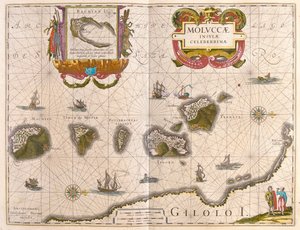 スパイス諸島とバチアン島（アムステルダム、ウィレム・ブラウ著『Theatrum Orbis Terrarum, sive Atlas Novus』所収 作： Willem Blaeu