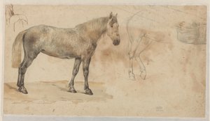 馬の研究 作： Willem Carel Nakken