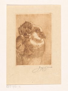 ハトの研究 作： Willem Hendrik Bik (signed by artist)