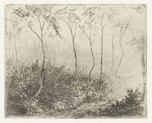 森林景観 作： Willem Matthias Jan van Dielen