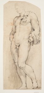 アンティーク彫刻「Belvedere Antinous」の正面が半分左を向いている 作： Willem Panneels