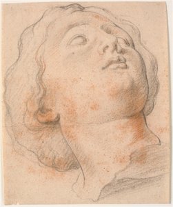 ローマ人女性の頭部、四半身の横顔が右を向いている 作： Willem Panneels