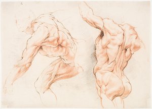 左に傾いている男性の 2 つの解剖学的研究と、腕を上げて後ろから見たもう 1 つの解剖学的研究 (エコルシェ)