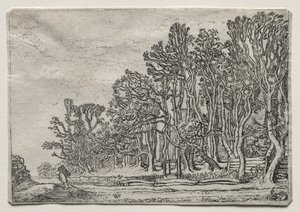 風景のセット：2つの板ヘッジ、1616年。 作： Willem Pietersz Buytewech