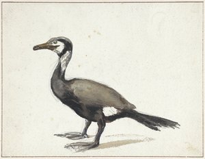鵜 作： Willem Roelofs (I)