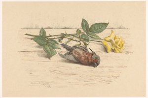 バラの隣に横たわっている死んだフィンチ 作： Willem Roelofs (II) (signed by artist)