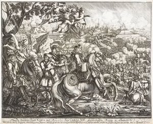 1700年11月19日のナルバの戦い 作： Willem Swidde